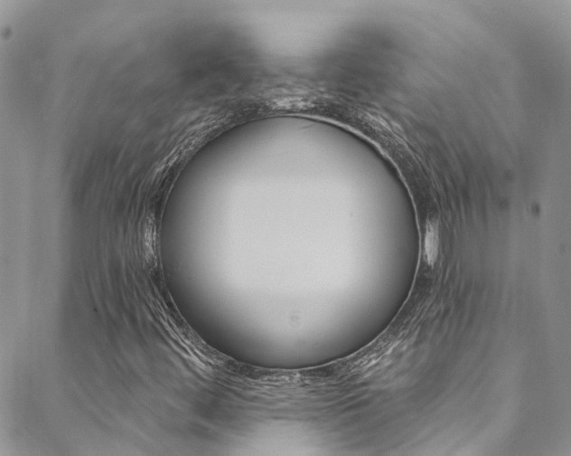 X0000088861444200706080739