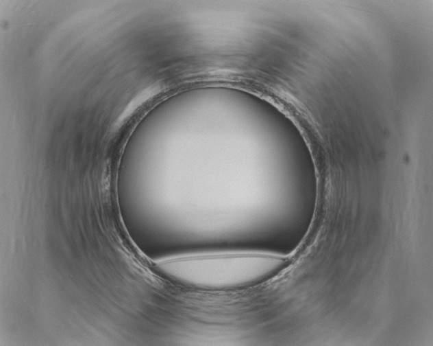 X0000088861450200706080739