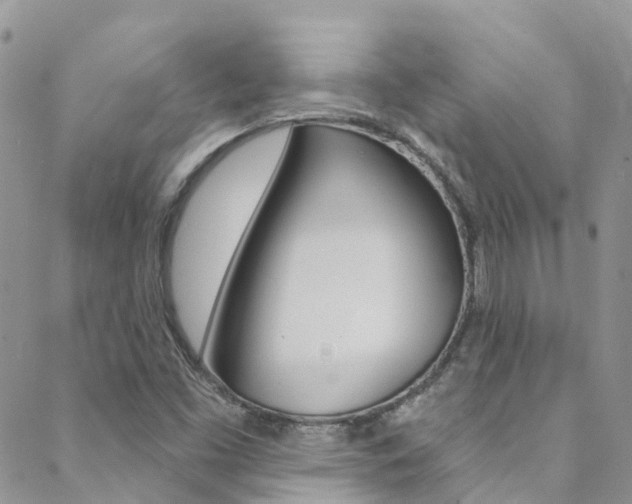 X0000088861453200706080738