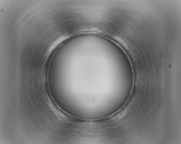 X0000088861458200706080738