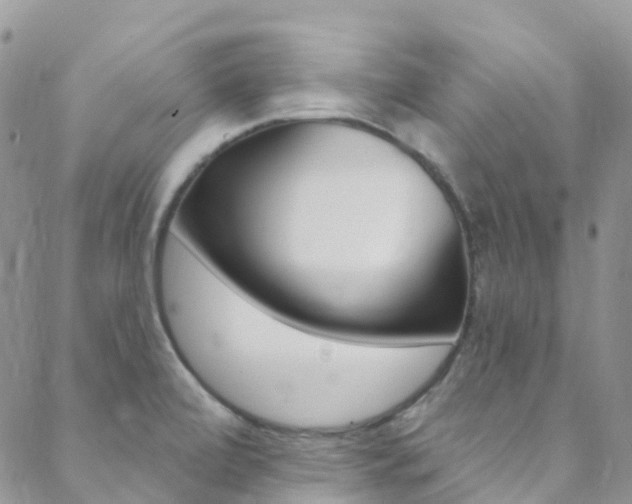 X0000088861472200706080738