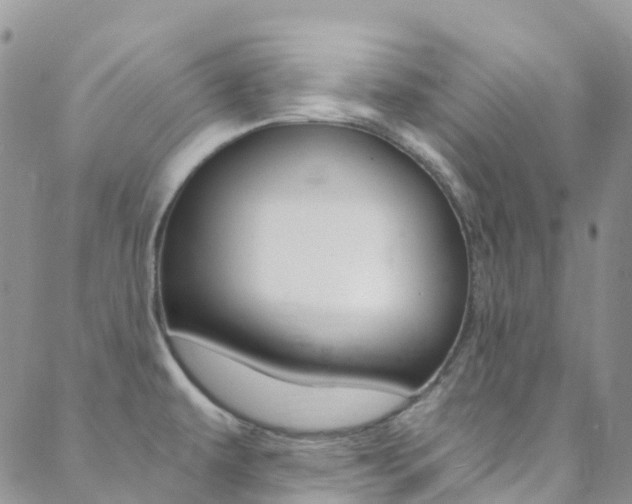 X0000088861479200706080738