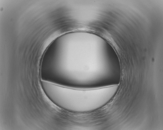 X0000088861483200706080738