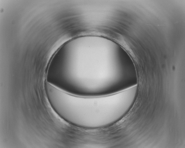 X0000088861484200706080738
