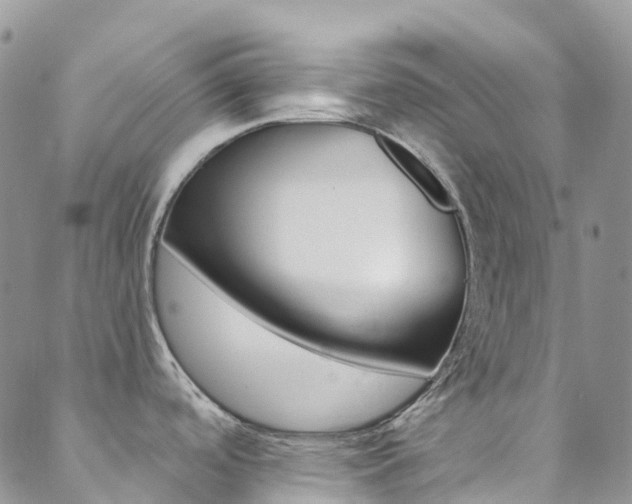 X0000088861488200706080738