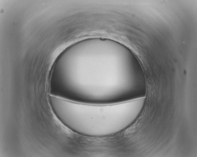 X0000088861527200706080738