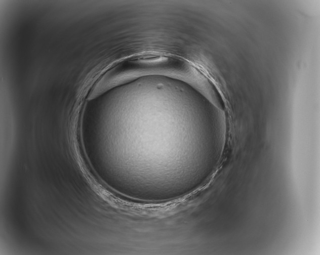 X0000088860001200706081201