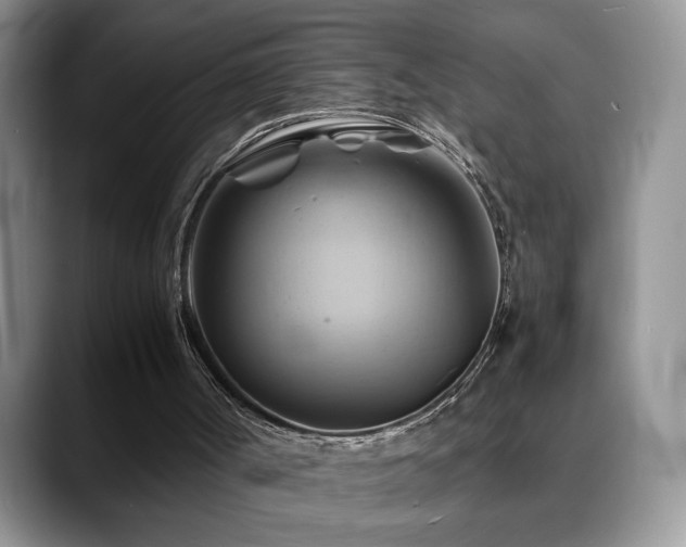 X0000088860002200706081201