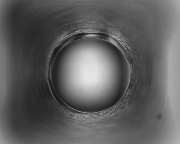 X0000088860003200706081201