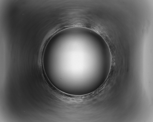 X0000088860004200706081201