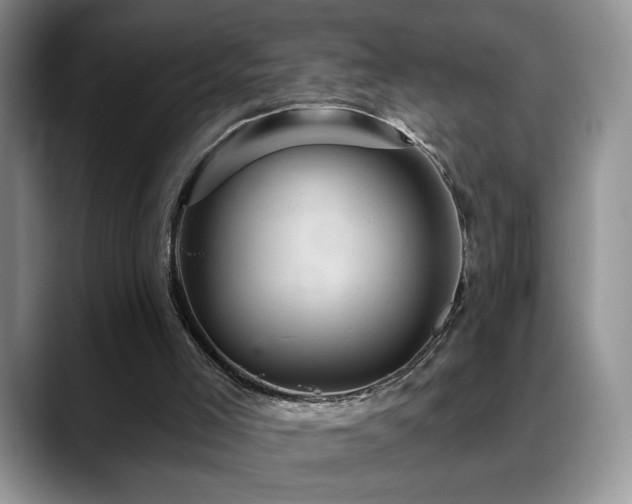 X0000088860005200706081201