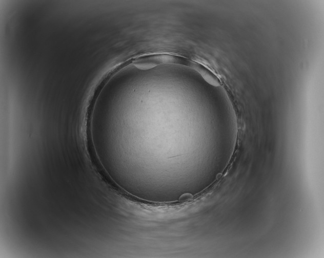 X0000088860006200706081201
