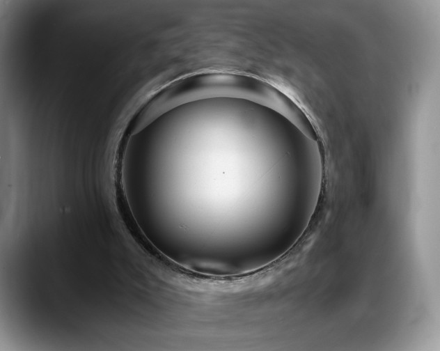 X0000088860007200706081201