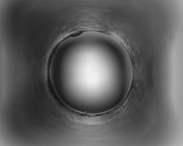 X0000088860008200706081201