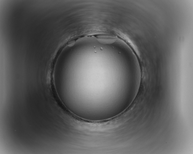 X0000088860010200706081201