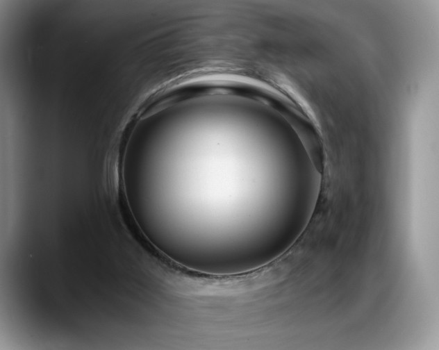 X0000088860011200706081201