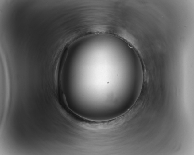 X0000088860013200706081201