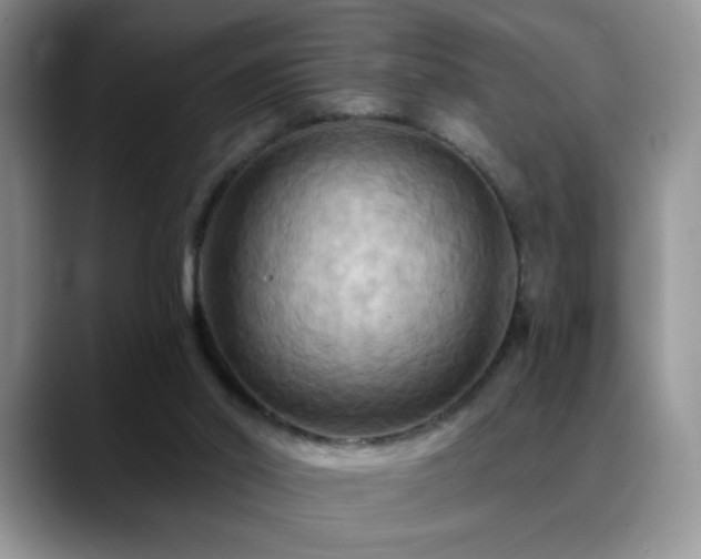 X0000088860014200706081201