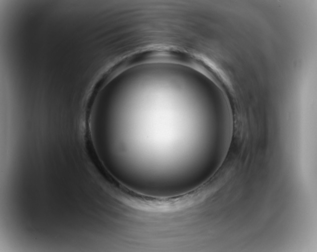 X0000088860015200706081201