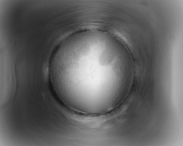 X0000088860016200706081201