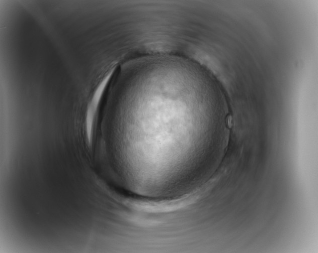 X0000088860017200706081201