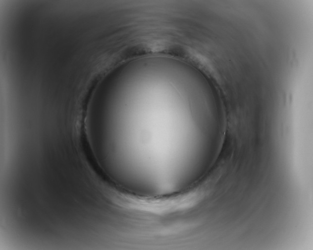 X0000088860018200706081201