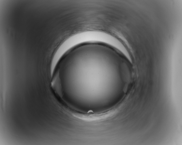 X0000088860019200706081201