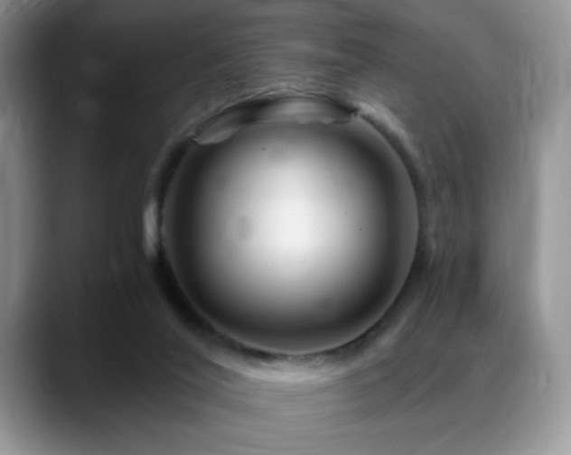 X0000088860020200706081201