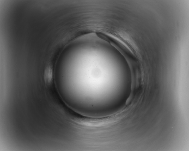 X0000088860021200706081201