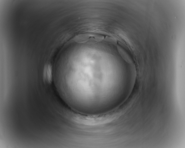 X0000088860022200706081201