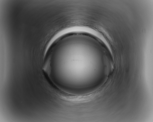 X0000088860023200706081201