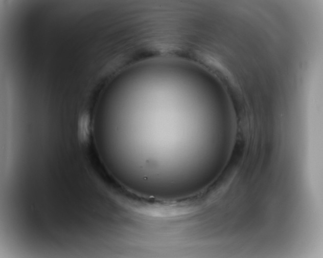 X0000088860024200706081201