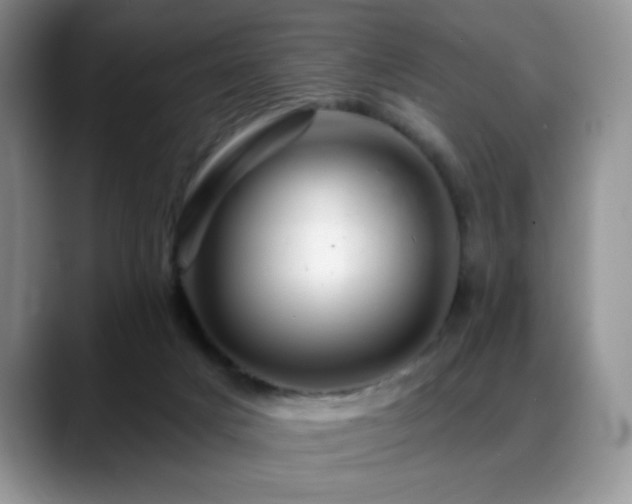 X0000088860025200706081201