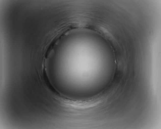 X0000088860026200706081201