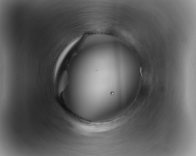 X0000088860027200706081201