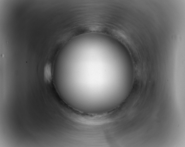 X0000088860028200706081201