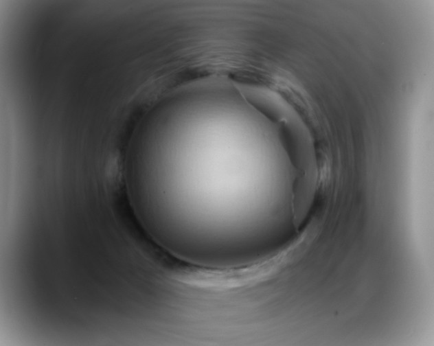 X0000088860029200706081201