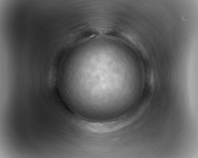 X0000088860030200706081201