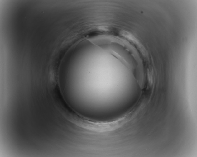 X0000088860031200706081201