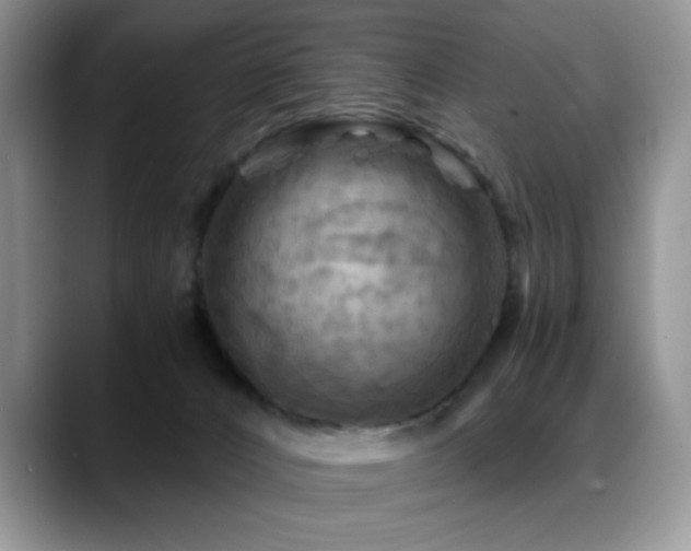 X0000088860032200706081201