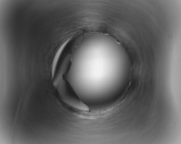 X0000088860033200706081201