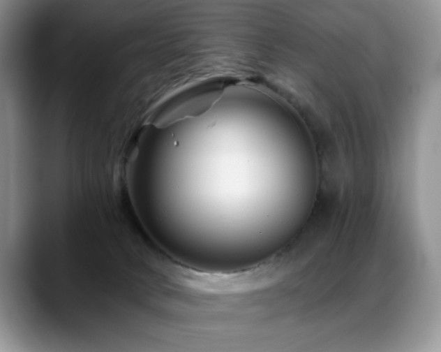 X0000088860034200706081201