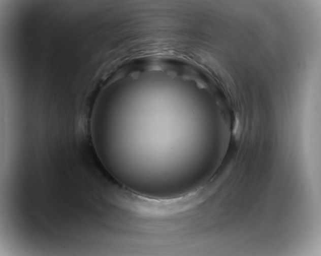 X0000088860035200706081201