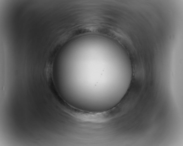 X0000088860036200706081201