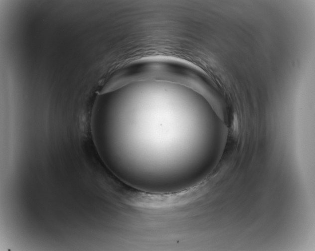 X0000088860037200706081201