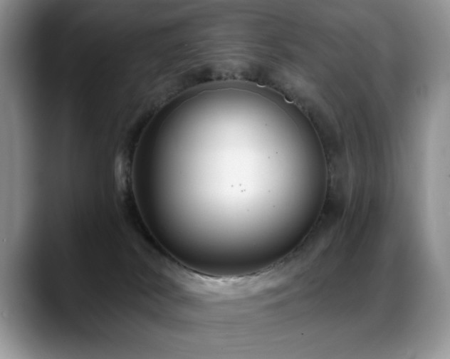 X0000088860038200706081201