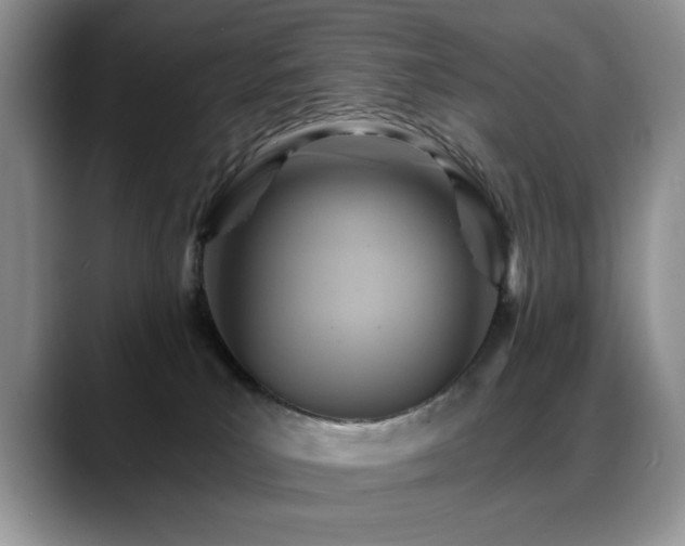 X0000088860039200706081201