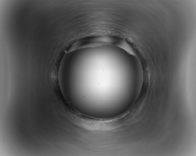 X0000088860040200706081200