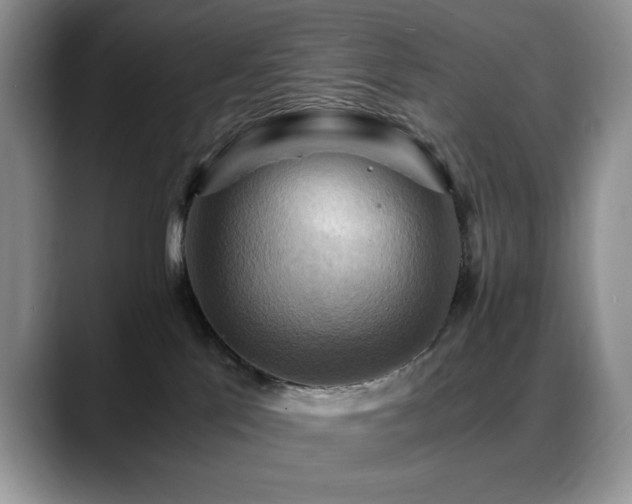 X0000088860041200706081200