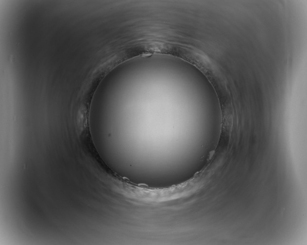 X0000088860043200706081200